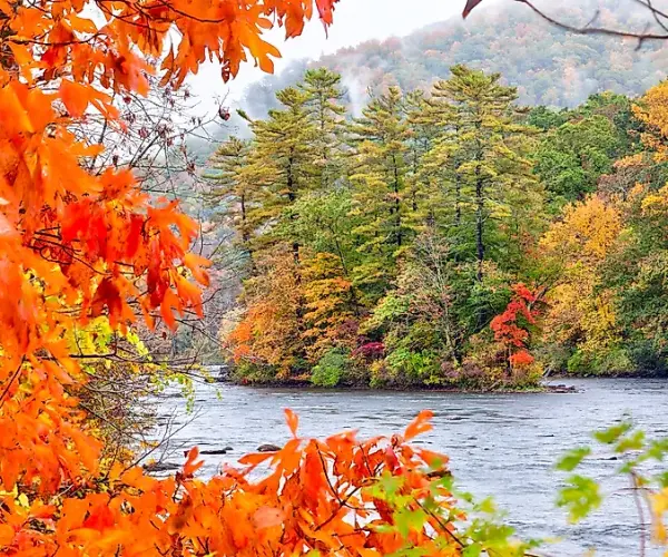 Spotlight: Connecticut
