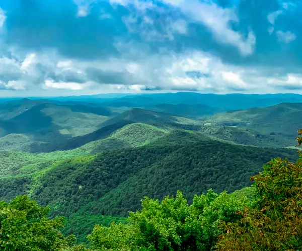 Spotlight: Georgia