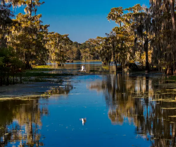 Drug rehab centers in Louisiana