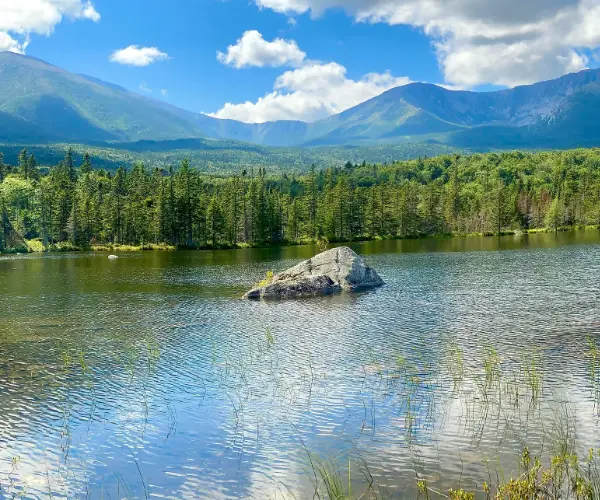 Spotlight: Maine