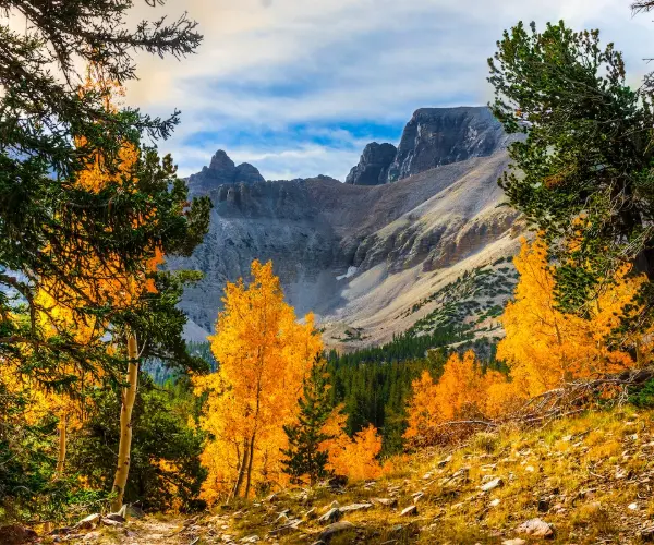 Spotlight: Nevada