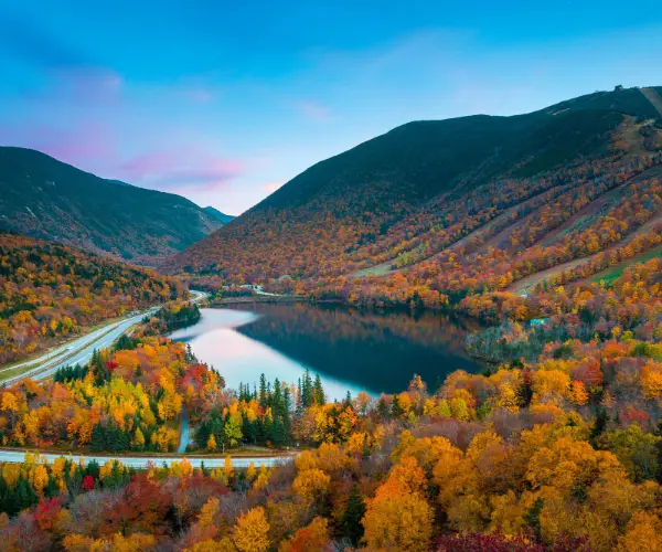 Spotlight: New Hampshire