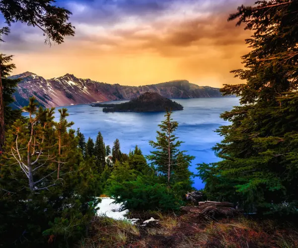 Spotlight: Oregon