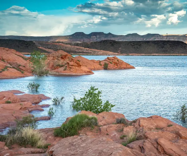 Spotlight: Utah
