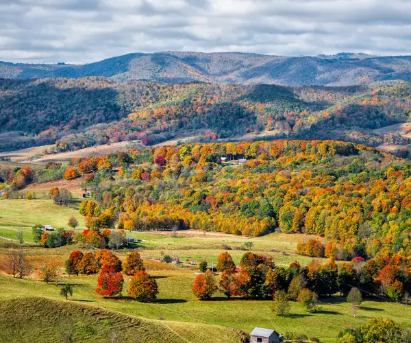 Spotlight: Virginia