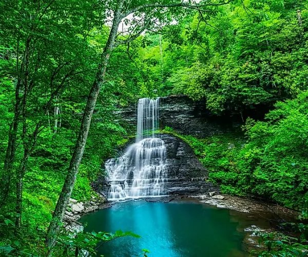 Drug rehab centers in Virginia
