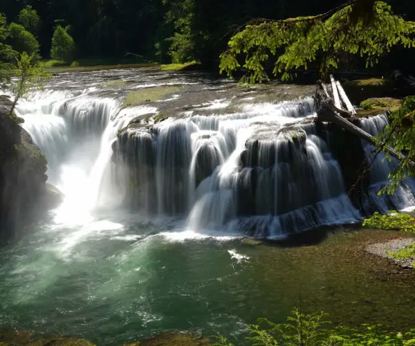 Drug rehab centers in Washington