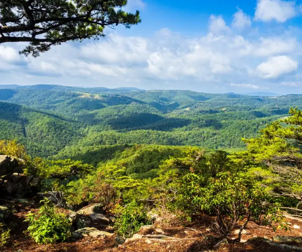 Spotlight: West Virginia