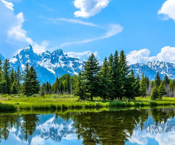 Spotlight: Wyoming