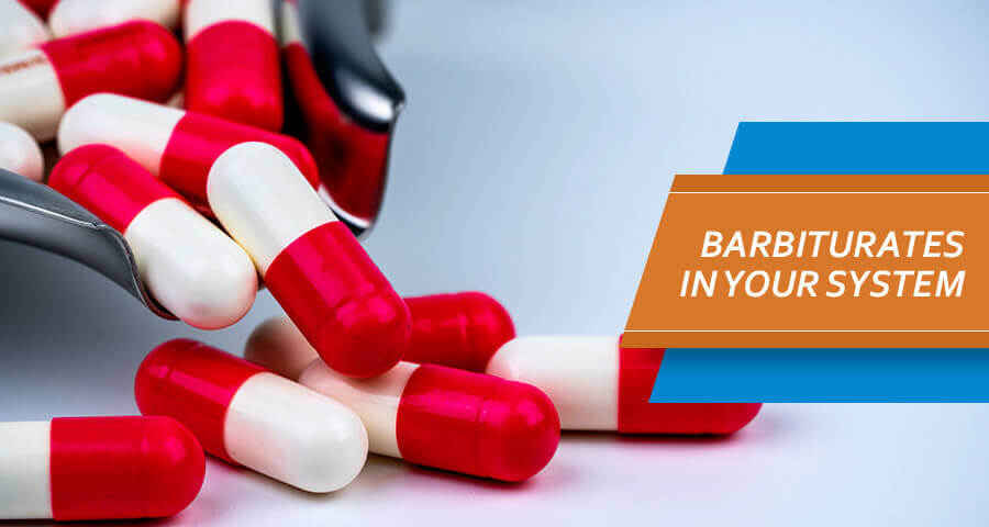 how long do barbiturates stay in your system?