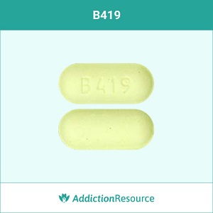 B419 meloxicam pill.