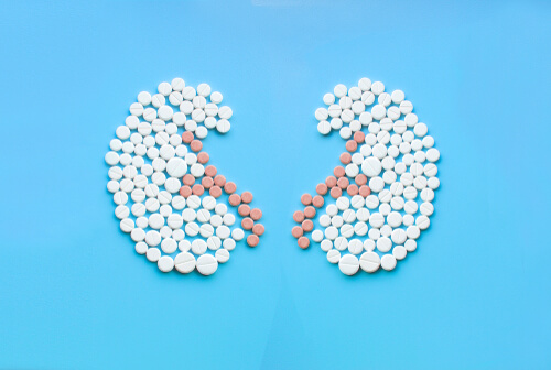 kidneys made of pills