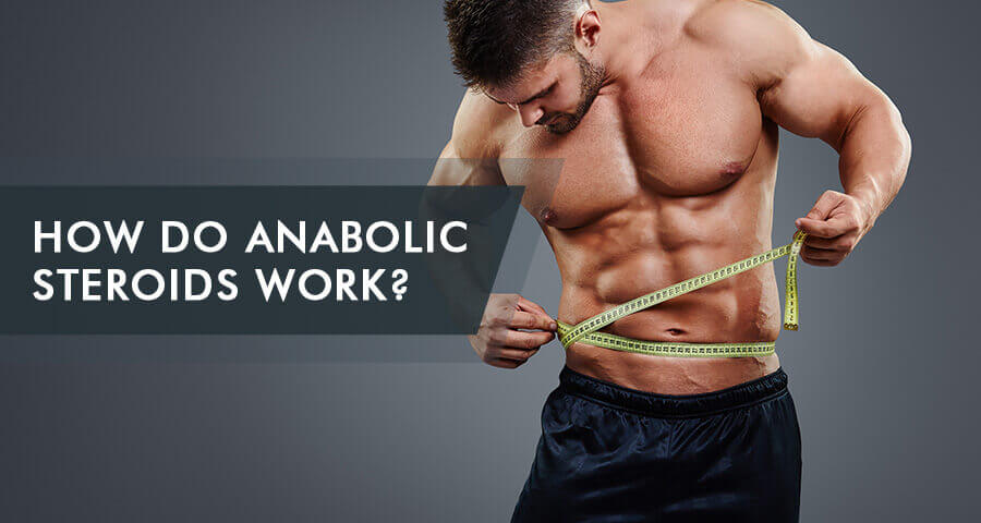 How Do Anabolic Steroids Work? What Do They Do In Body?