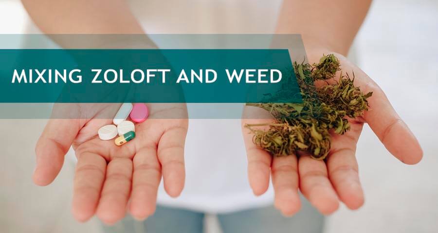 Zoloft And Marijuana: Can One Smoke Weed On SSRI Antidepressants?