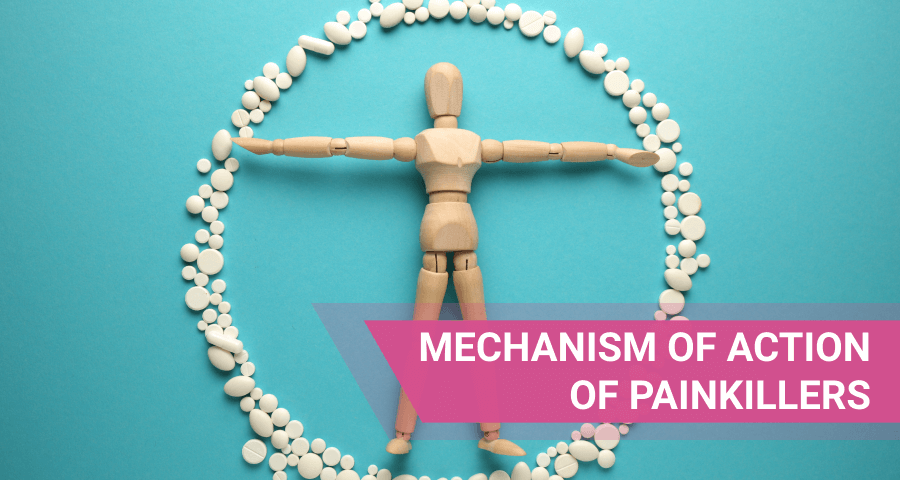 How Do Painkillers Work And What Are Pain Meds Made Of?