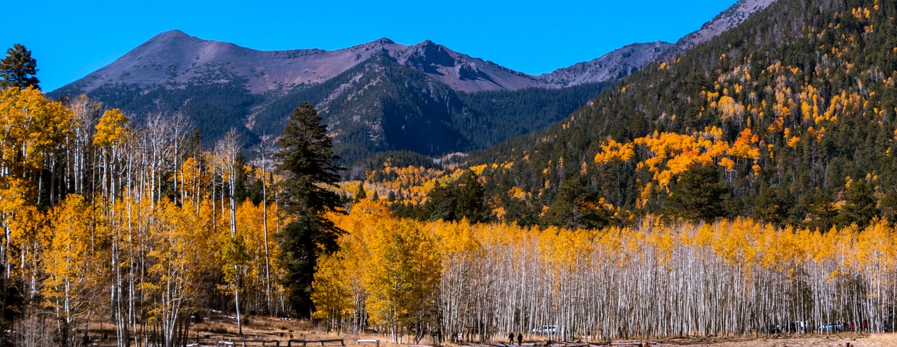 AA Meetings in Flagstaff, Arizona
