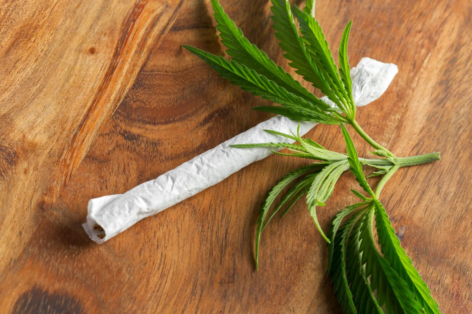 Marijuana Detox Explained: Symptoms, Duration, and Recovery Approaches