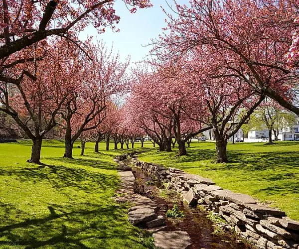 Drug rehab centers in New Jersey